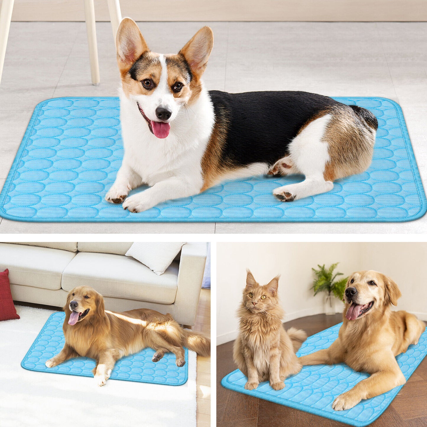 TailTrendz™Pet Cooling Mat – Summer Comfort Pad