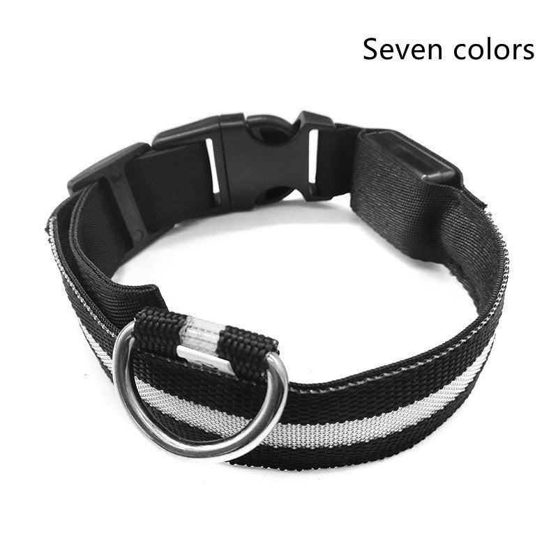 TailTrendz™Nylon LED Safety Collar
