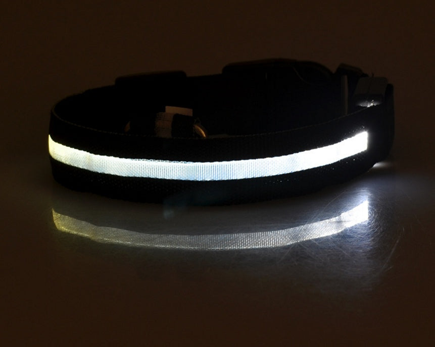TailTrendz™Nylon LED Safety Collar