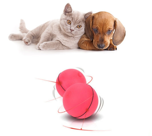 TailTrendz™LED Rolling Laser Cat Toy