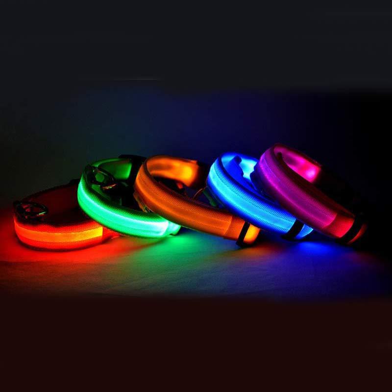 TailTrendz™Nylon LED Safety Collar