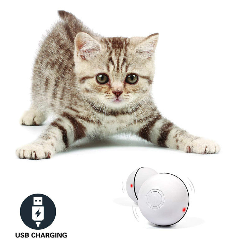 TailTrendz™LED Rolling Laser Cat Toy