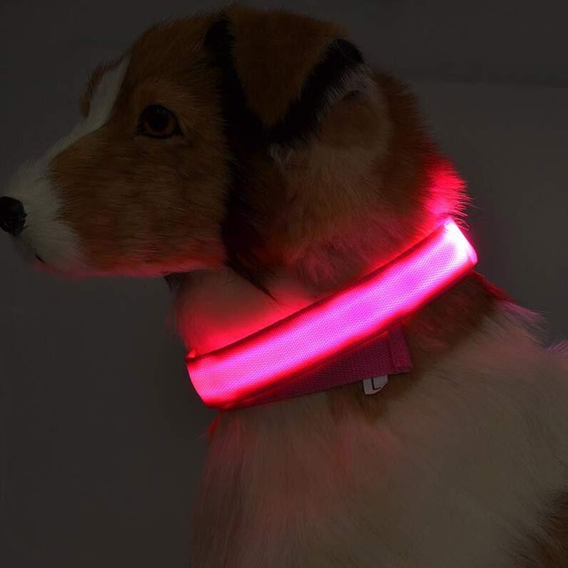 TailTrendz™Nylon LED Safety Collar