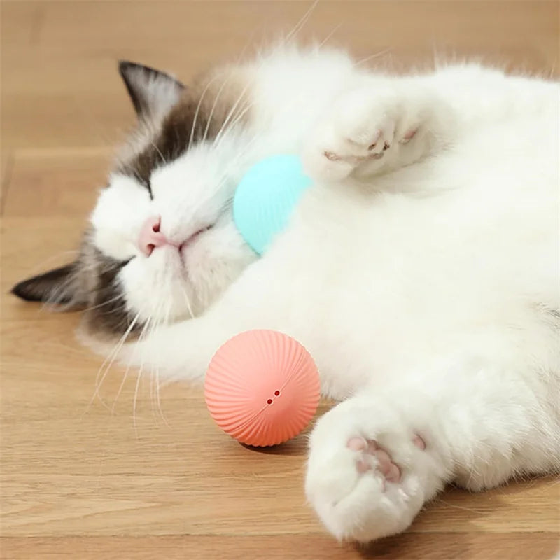 TailTrendz™USB Automatic Bouncing Pet Ball