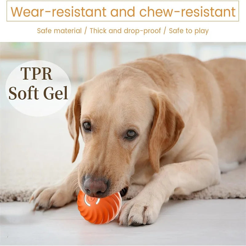 TailTrendz™USB Automatic Bouncing Pet Ball