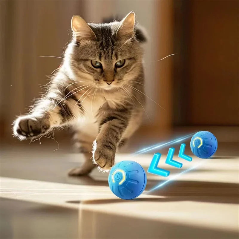 TailTrendz™USB Automatic Bouncing Pet Ball