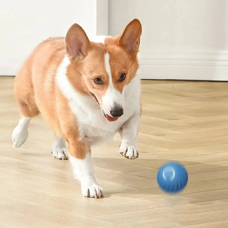 TailTrendz™USB Automatic Bouncing Pet Ball