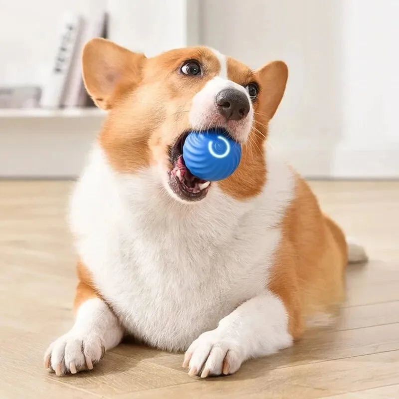TailTrendz™USB Automatic Bouncing Pet Ball