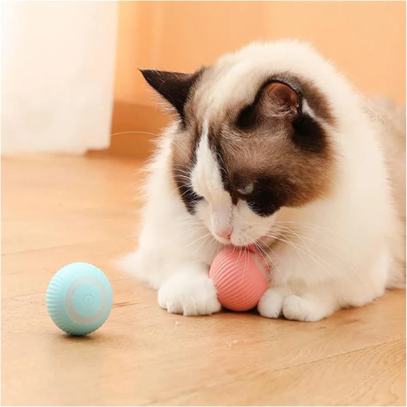 TailTrendz™USB Automatic Bouncing Pet Ball