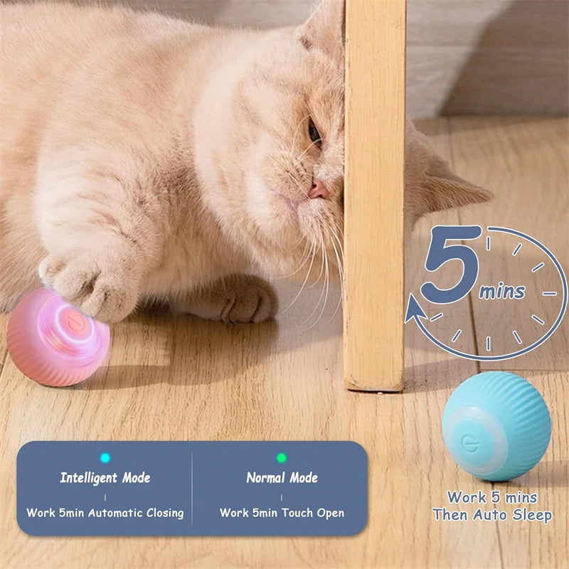 TailTrendz™USB Automatic Bouncing Pet Ball