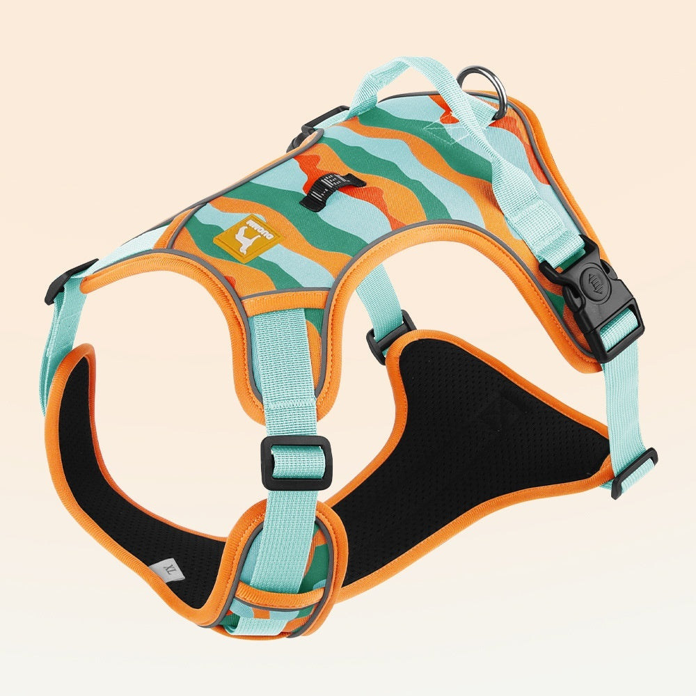 TailTrendz™Dog Safety Harness & Leash Set